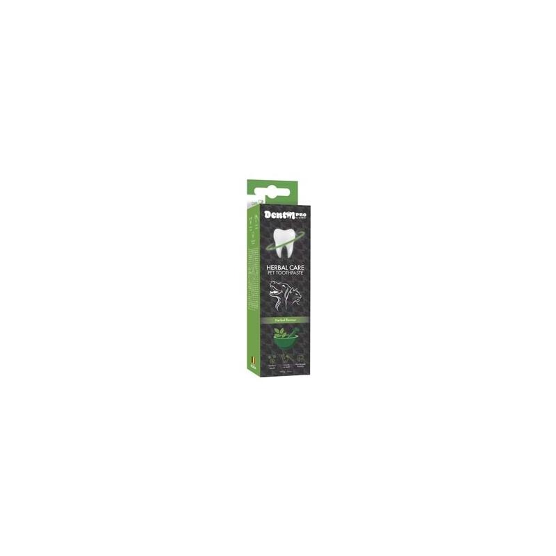 Dental Care Pro Bitkisel Aromalı Diş Macunu 100 GR