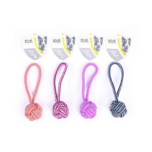 Ally Paws Köpekler İçin Diş İpi 20cm