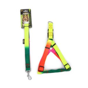 Doglife Gökkuşağı Göğüs Tasması+Gezdirme 2.5cm