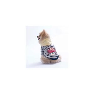 26733 Sarı Seattle Pitch Hoodie XL Beden KPAW
