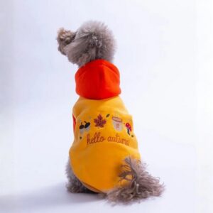 26741 Turuncu Vermont Autumn Hoodie L Beden KPAW