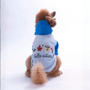 26742 Mavi Vermont Autumn Hoodie L Beden