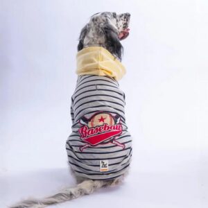 26769 Sarı Seattle Pitch Büyük Irk Hoodie 7XL Beden KPAW