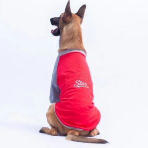 26788 Kırmızı Boston Pawstar Büyük Irk Sweat 6XL Beden KPAW
