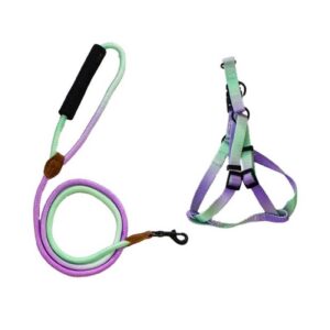 Ally Paws Harness & Leash Rope (M) 10mmx120cm