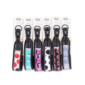 Ally Paws Dog Collar Medium 2CMX35-50cm Boyun Tasması