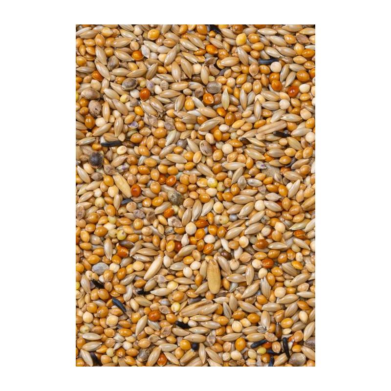 Deli Nature Premium Muhabbet Yemi 1100gr - Görsel 2