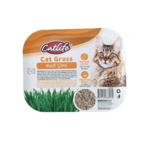 Kedi Çimi CLCA16