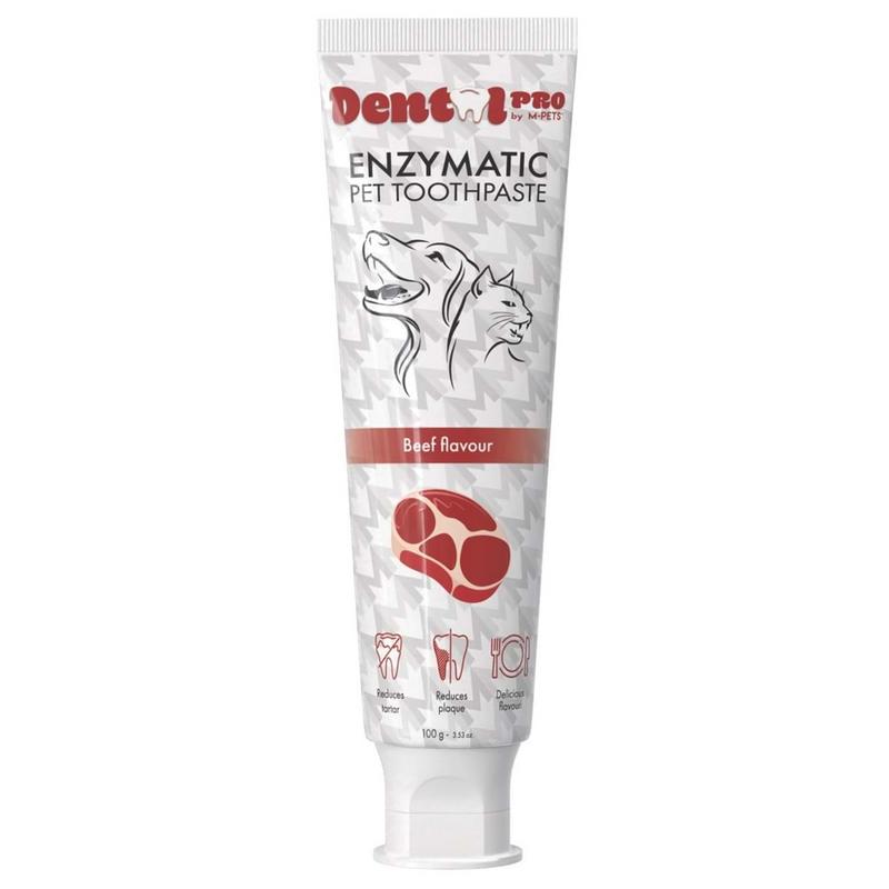 Dental Care Pro Biftek Aromalı Diş Macunu 100 GR - Görsel 2
