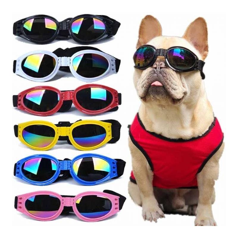 Kedi Köpek Sport Gözlük
