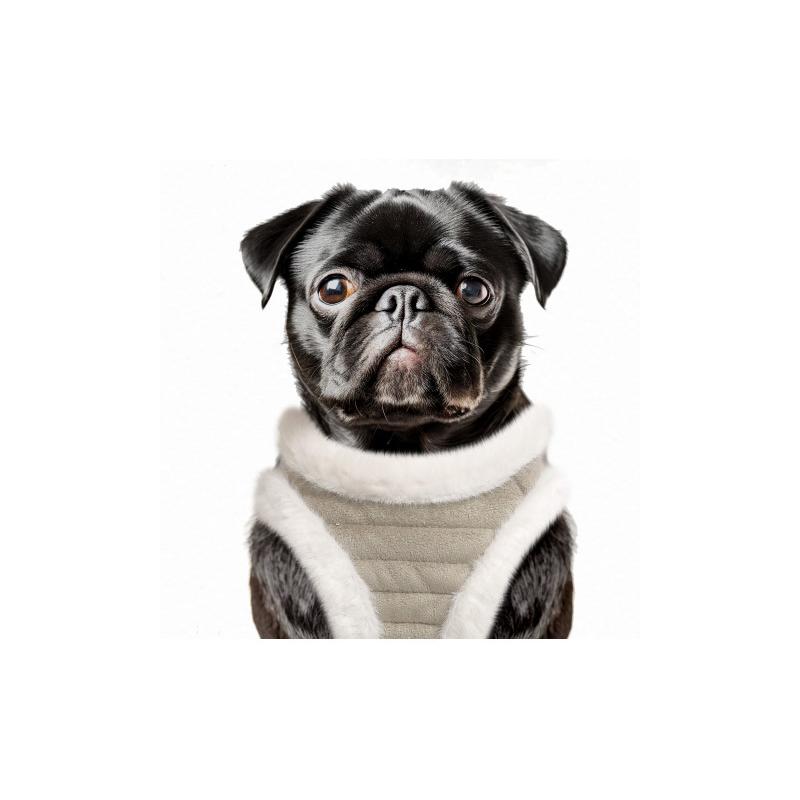 Kaspar Köpek Göğüs Tasması - Görsel 2