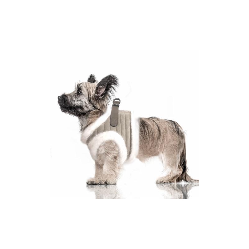 Kaspar Köpek Göğüs Tasması - Görsel 3