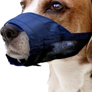 Kiwi 10402 Bez Köpek Ağızlığı L