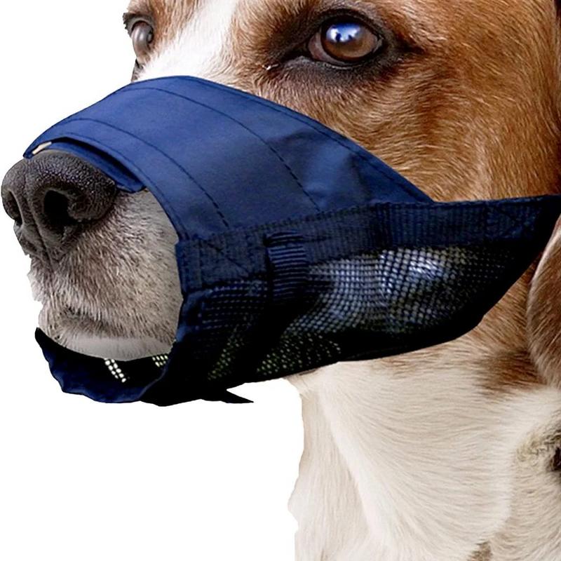 Kiwi 10402 Bez Köpek Ağızlığı L