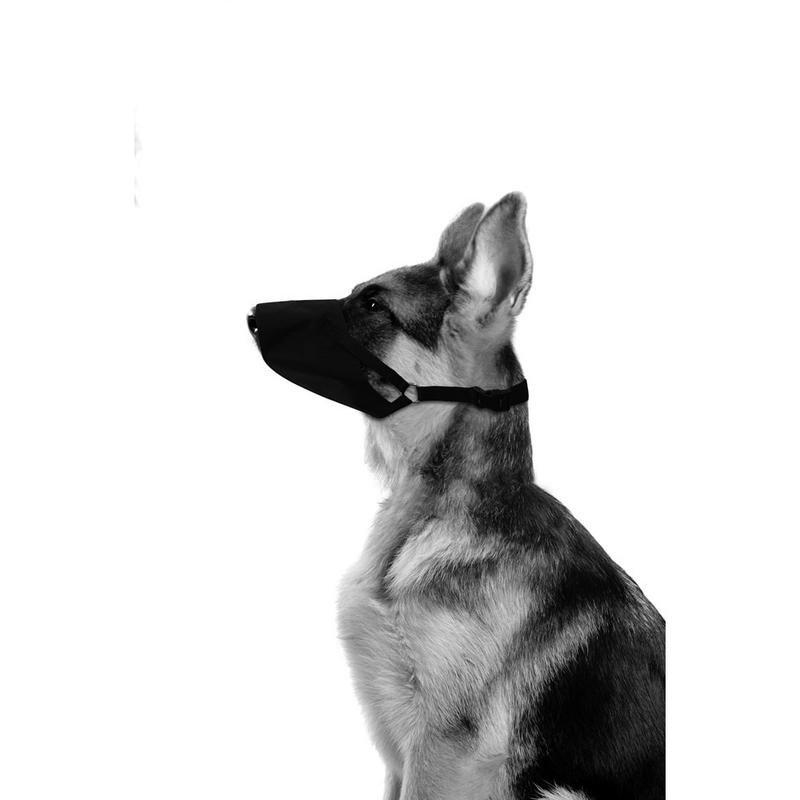 M-Pets Flexi Bez Ağızlık (S) - Görsel 2