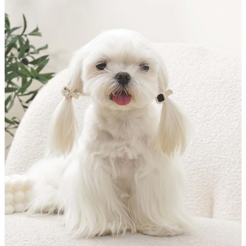 Glam Köpekler İçin Aksesuar Toka Black/Silver - Görsel 3