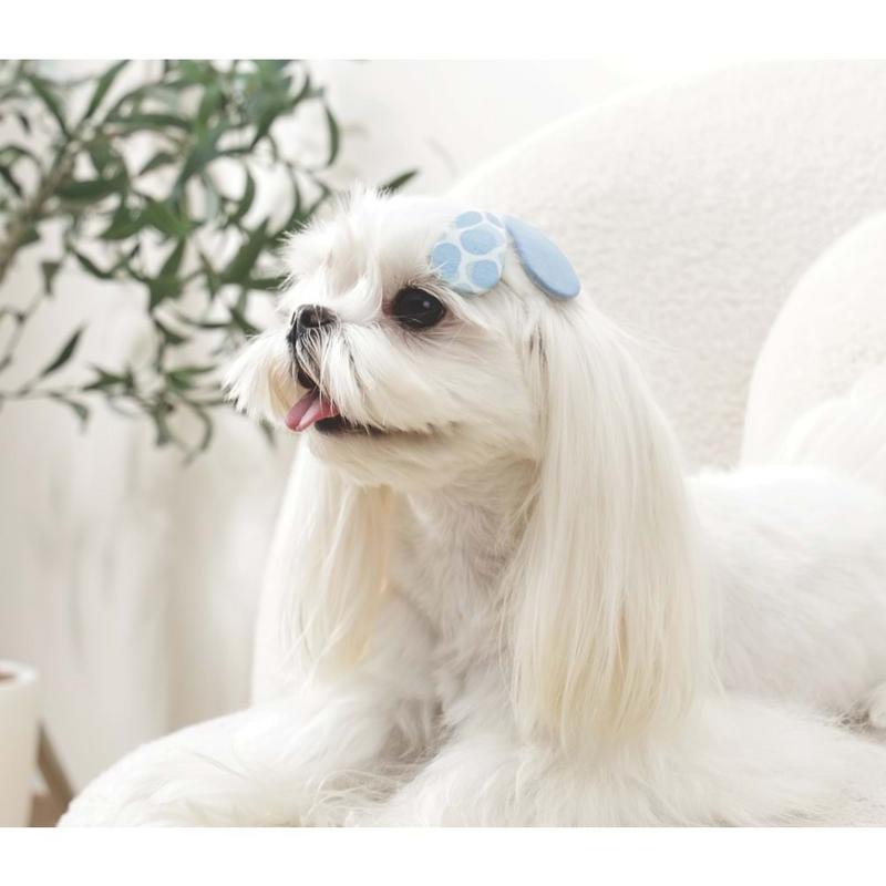 Glam Köpekler İçin Aksesuar Toka Blue - Görsel 3