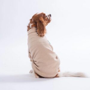 Bej TeddyWood Sweat L Beden