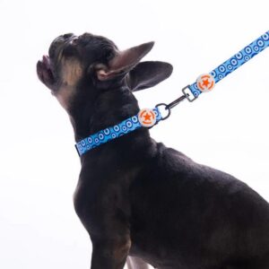 Charm Boyun Tasması S Beden - DC38