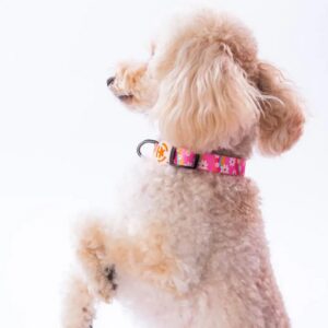 Daisy Boyun Tasması M Beden - DC35