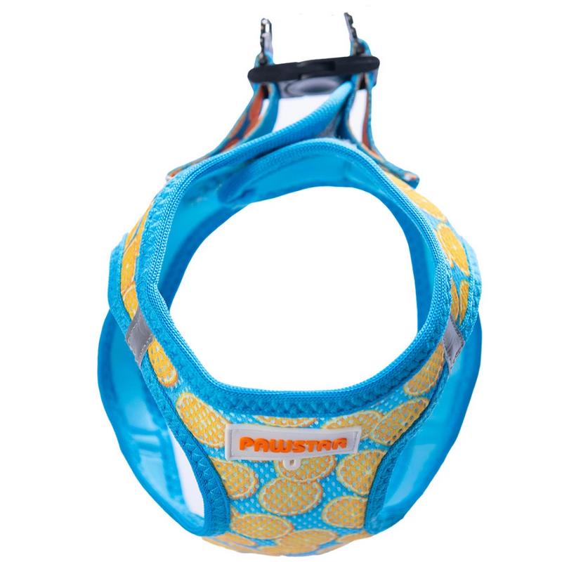 Göğüs Tasması Citrus Air Mesh L Paw-A37 - Görsel 3