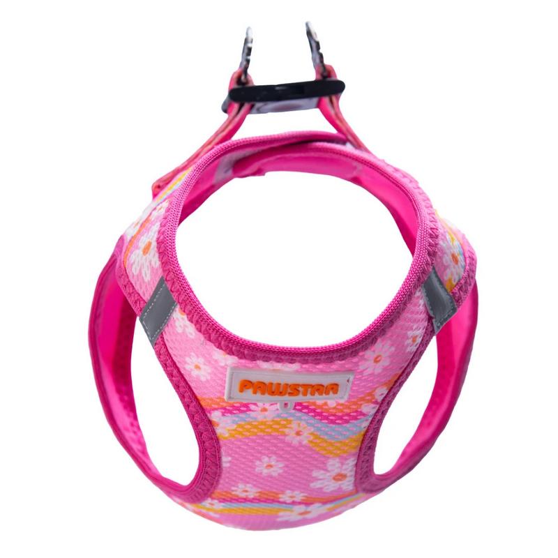 Göğüs Tasması Daisy Air Mesh M Paw-A35 - Görsel 3