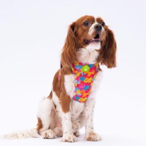 Gögüs Tasması Monsters Air Mesh 2XS Beden paw-a29