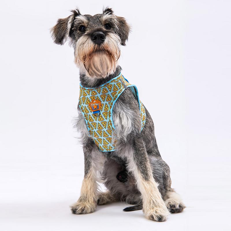 Gögüs Tasması Pizza Air Mesh M Beden paw-a15