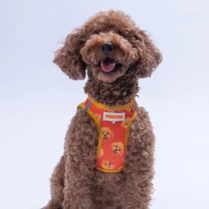Göğüs Tasması Poodle Air Mesh 3XS beden Paw-A31