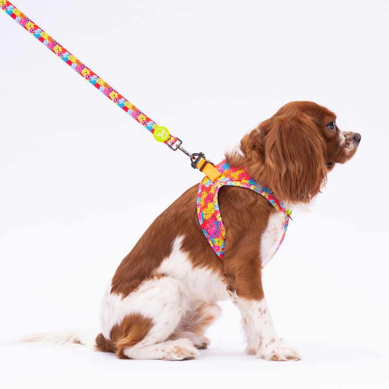 Pawstar Monsters Sevk Kayışı PAW-L29 S Beden - Görsel 3