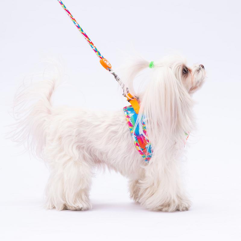 Pawstar Mosaic Sevk Kayışı PAW-L26 - Görsel 3