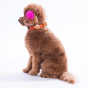 Poodle Boyun Tasması M Beden - DC31