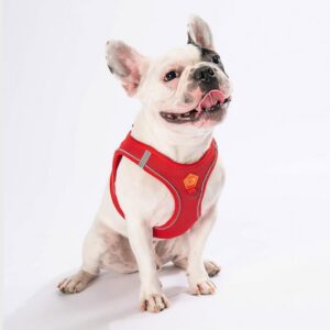 Soft Gögüs Tasması Kırmızı 2XS Beden paw-a05s