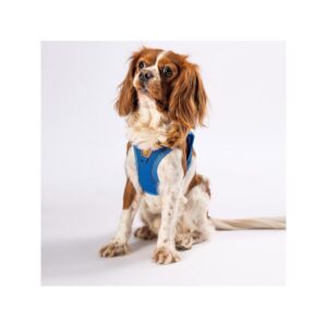 Soft Gögüs Tasması Mavi 3XS paw-a06