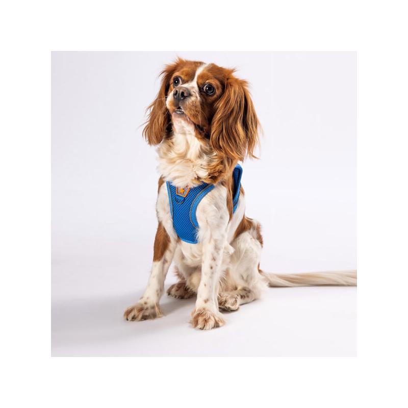 Soft Gögüs Tasması Mavi 3XS paw-a06