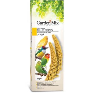 Platin Sarı Dal Darı