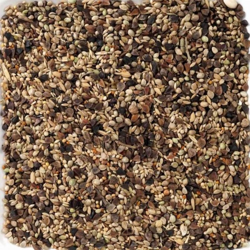 Premium Agapornis Lovebirds Pareket Yemi 1100gr - Görsel 2